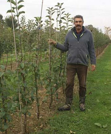 Ετοιμάστε τα πράγματα που θα χρησιμοποιήσετε στο κλάδεμα μη εκπαιδευμένης μηλιάς