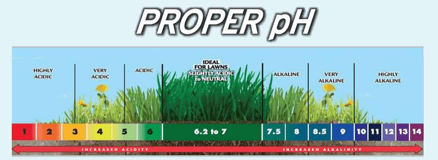 Το χειρότερο πράγμα που μπορείτε να κάνετε είναι να αυξήσετε το pH του εδάφους όταν το pH είναι πραγματικά