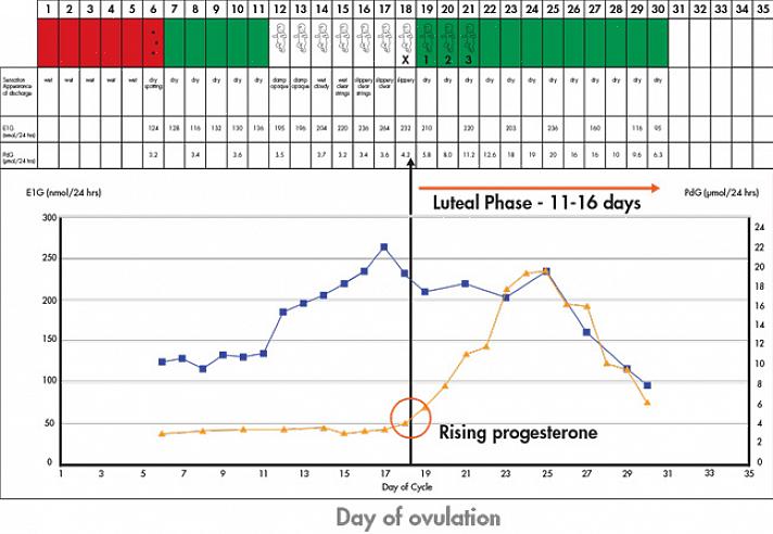 Η μέθοδος Billings Ovulation (BOM) προσφέρει τα ακόλουθα πλεονεκτήματα