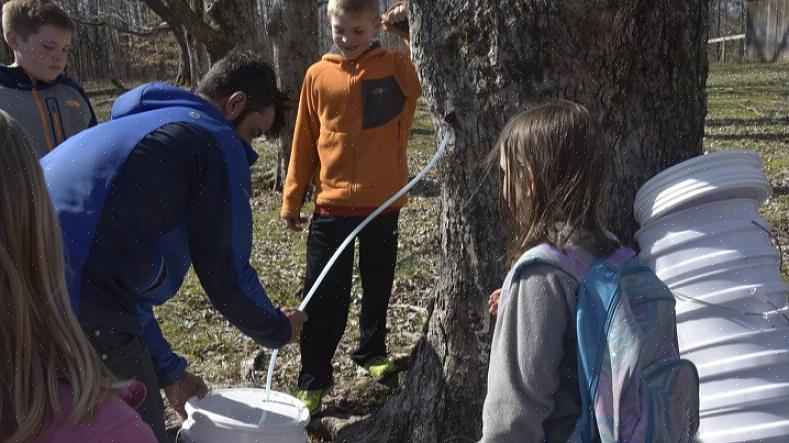 Ίσως θελήσετε να δοκιμάσετε το χέρι σας να φτιάξετε ένα μόνοι σας