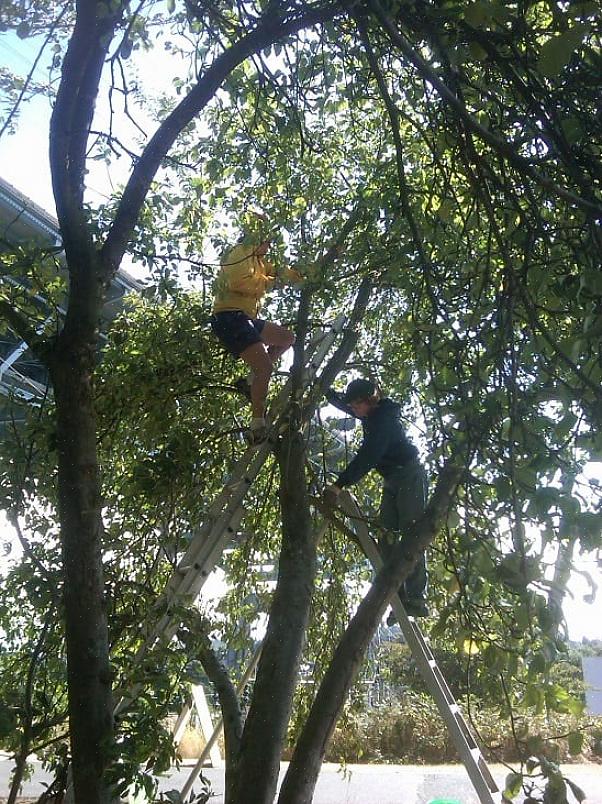 Βασική φροντίδα και συντήρηση