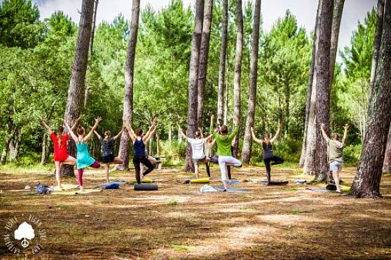 Το Camp Shane υπόσχεται έναν ικανοποιητικό τρόπο για να χάσετε βάρος