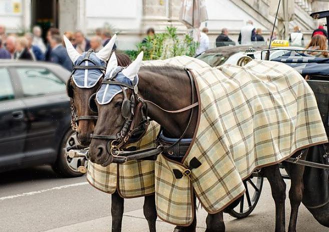 Θα πρέπει πρώτα απ 'όλα να δημιουργήσετε ένα μοτίβο που χρησιμεύει ως οδηγός σας όταν ράβετε την κουβέρτα