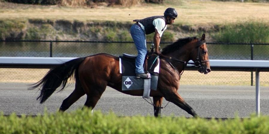 Το Europe Jockey Club διαθέτει ένα εξαιρετικό πρόγραμμα για όσους ενδιαφέρονται να αγοράσουν συνταξιούχους