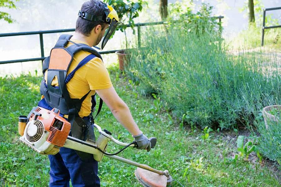 Η γνώση της σωστής χρήσης του ζιζανιοφάγου σας μπορεί να δώσει στο γκαζόν σας μια περιποιημένη εμφάνιση