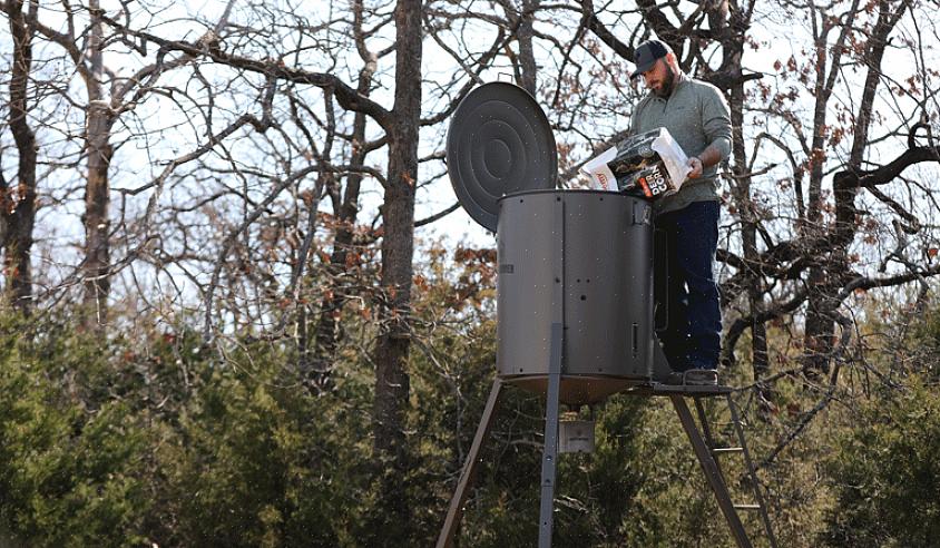 Υπάρχουν τόσα πολλά οφέλη για τη χρήση τροφοδοτών ελαφιών