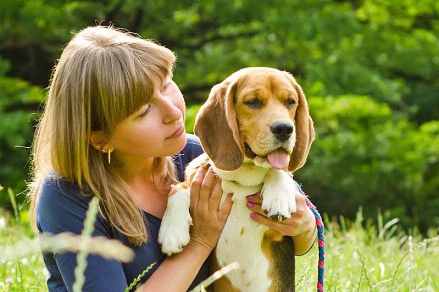 Η δεύτερη μορφή της διαταραχής είναι το Canine Diabetes Insipidus