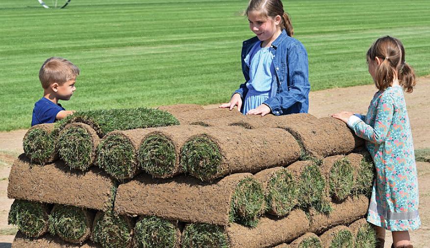 Το ξεκίνημα μιας επιχείρησης sod farm σημαίνει τον εντοπισμό των πελατών σας