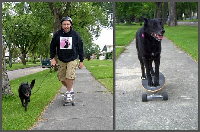 Τοποθετήστε το skateboard στο έδαφος